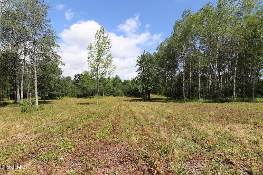 468 Middle Road Delanson NY 12107