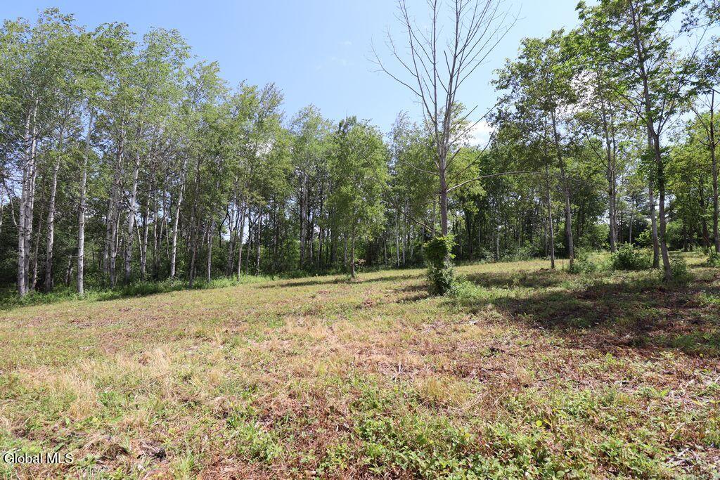 468 Middle Road Delanson NY 12107