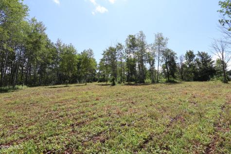 468 Middle Road Delanson NY 12107