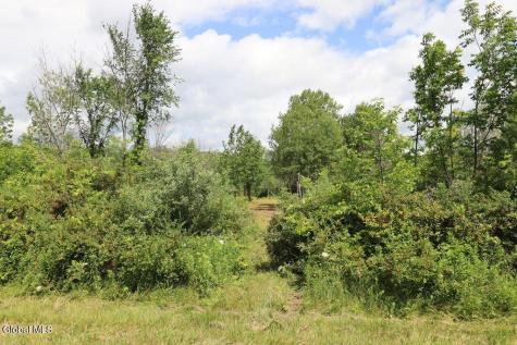 468 Middle Road Delanson NY 12107