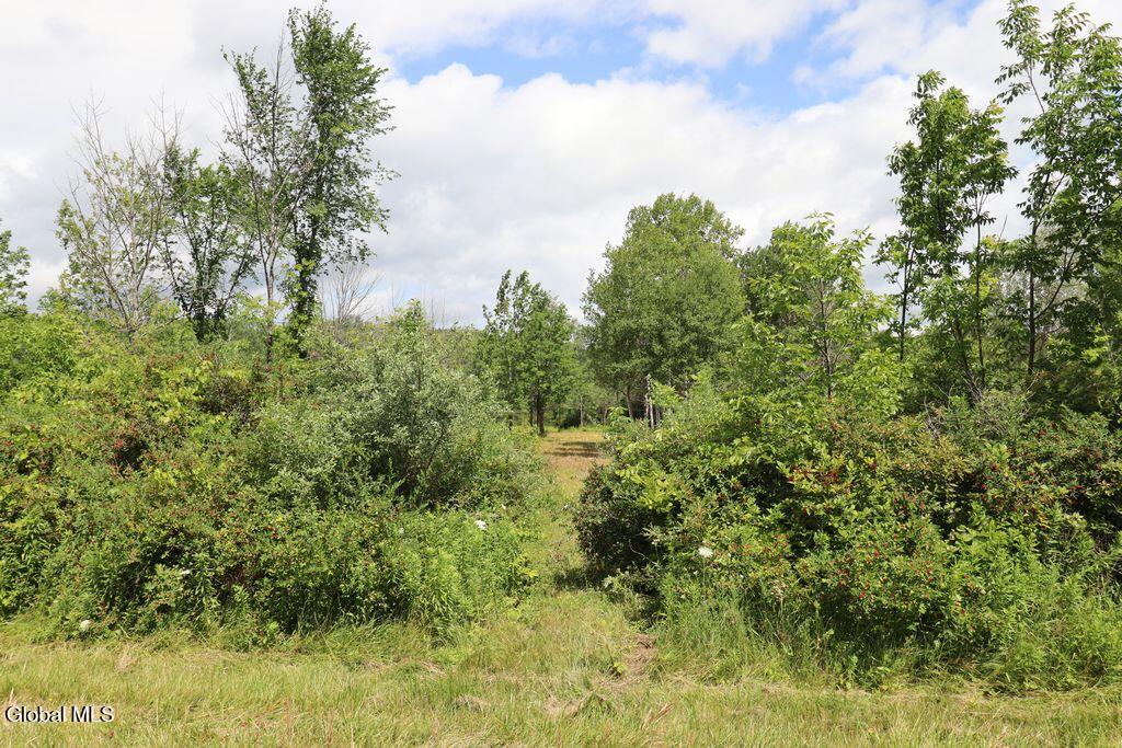 468 Middle Road Delanson NY 12107