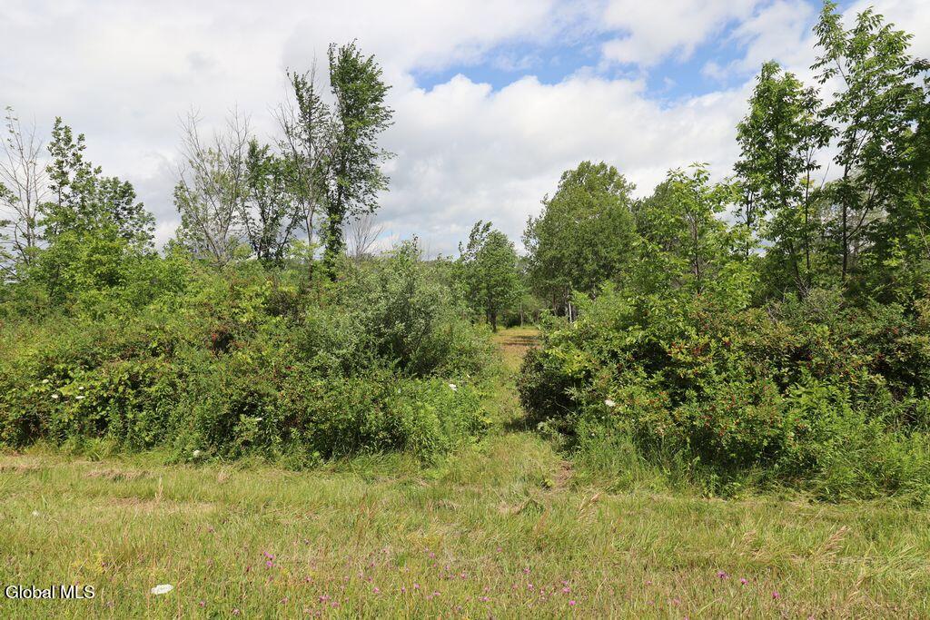 468 Middle Road Delanson NY 12107