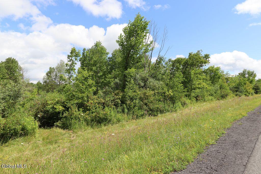 468 Middle Road Delanson NY 12107