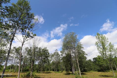 468 Middle Road Delanson NY 12107