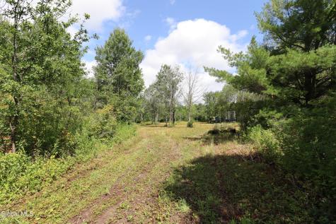468 Middle Road Delanson NY 12107