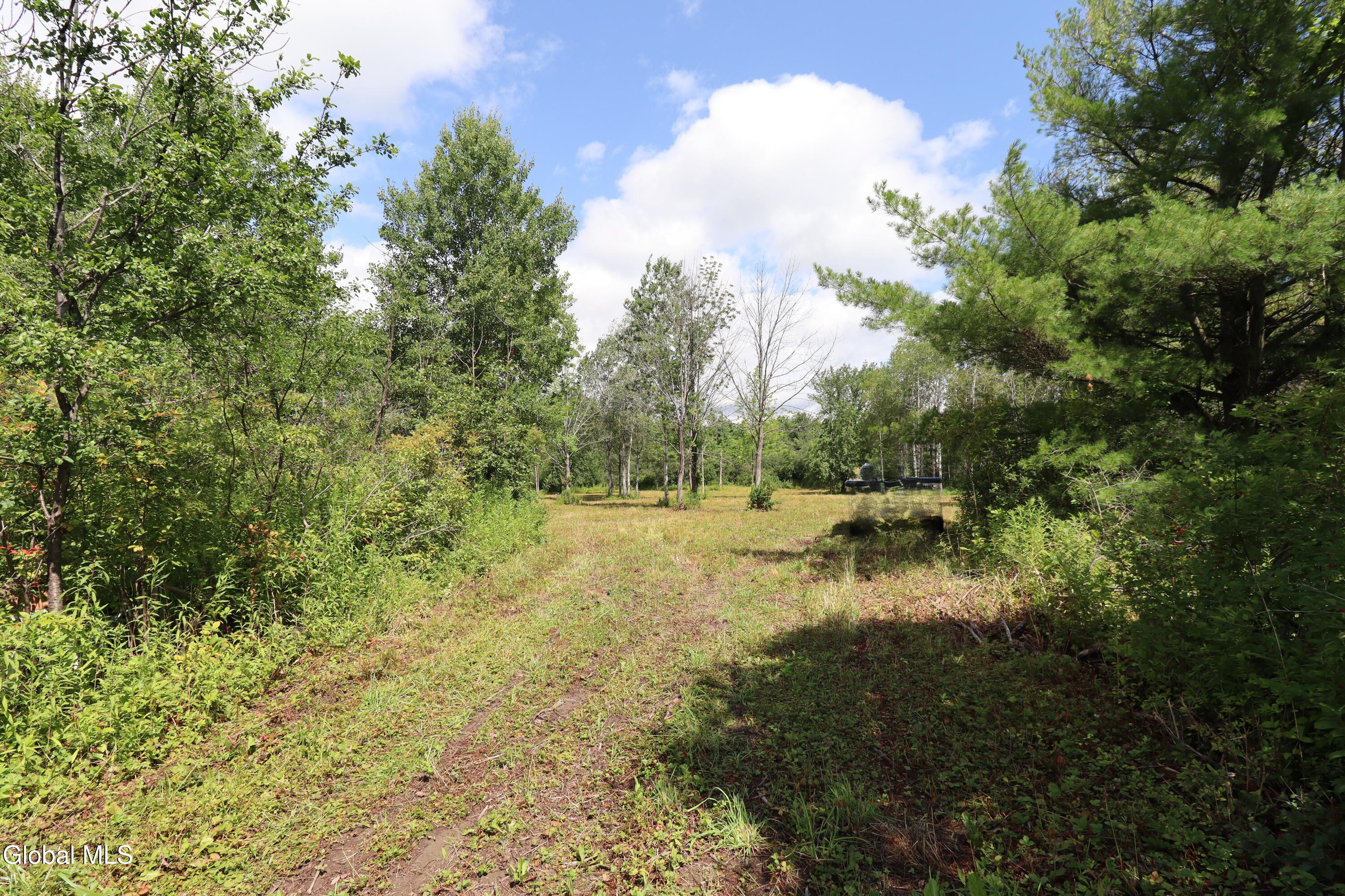 468 Middle Road Delanson NY 12107