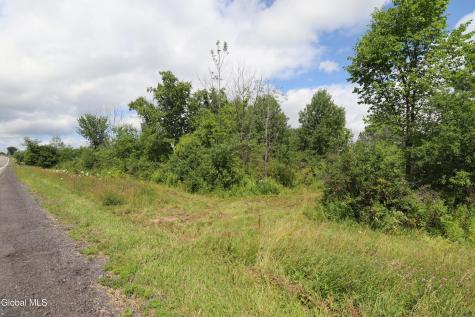 468 Middle Road Delanson NY 12107