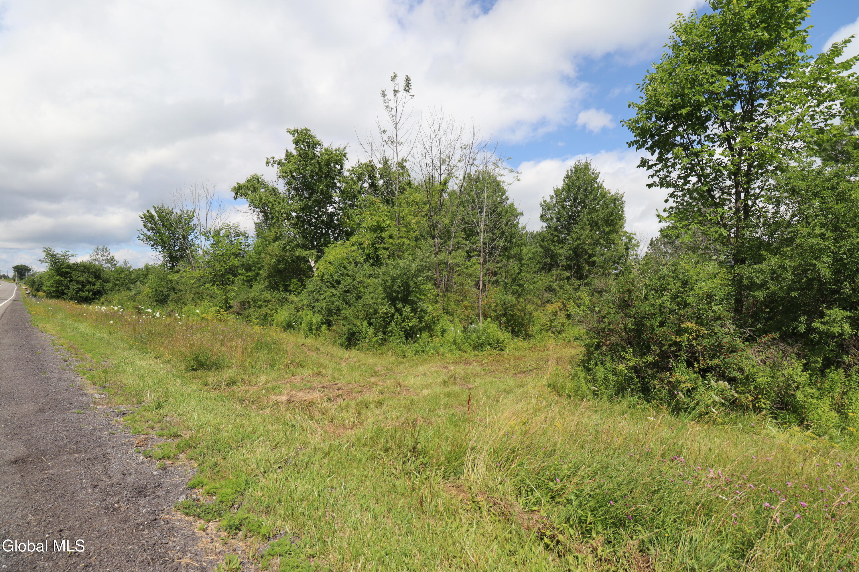 468 Middle Road Delanson NY 12107