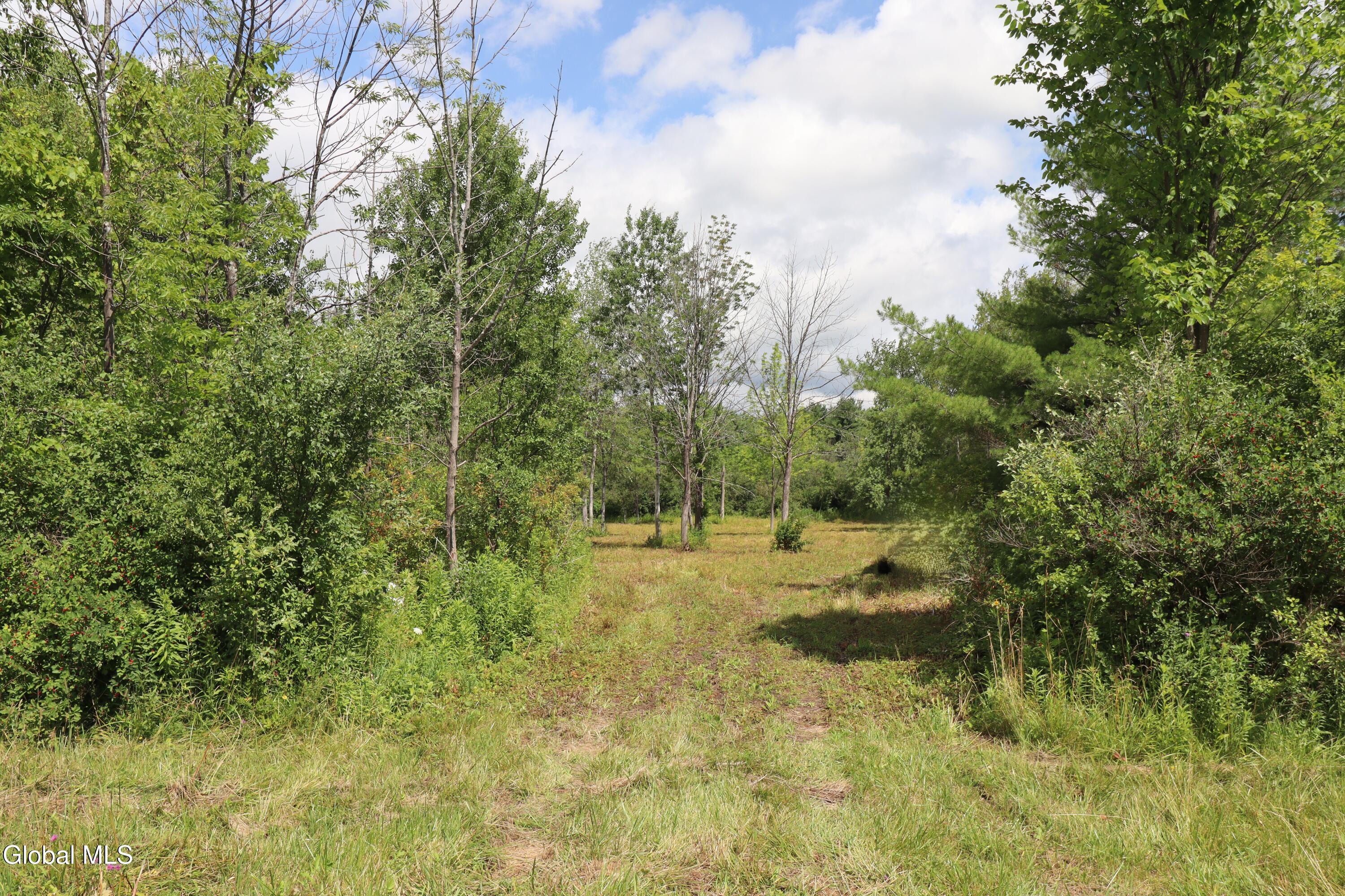 468 Middle Road Delanson NY 12107