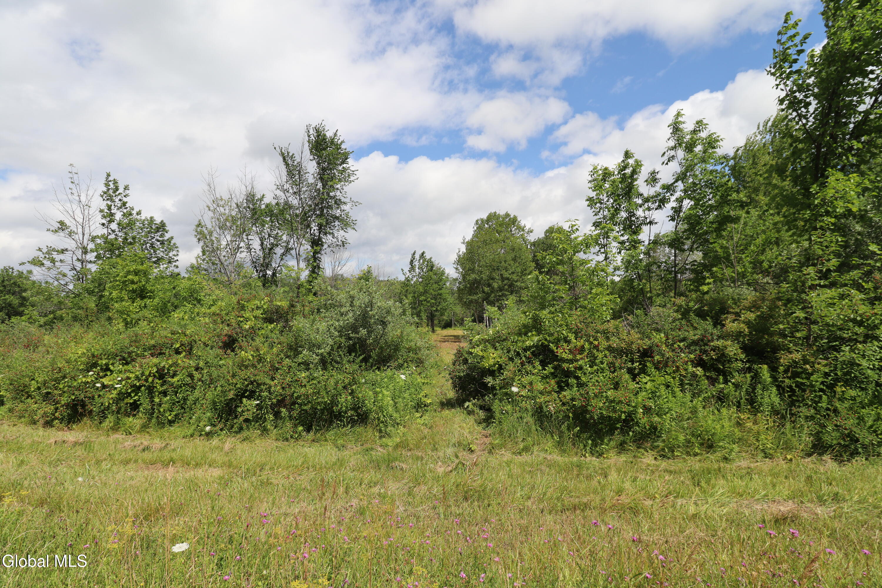 468 Middle Road Delanson NY 12107