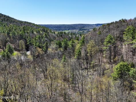 L19 Mary Taylor Road Middleburgh NY 12122