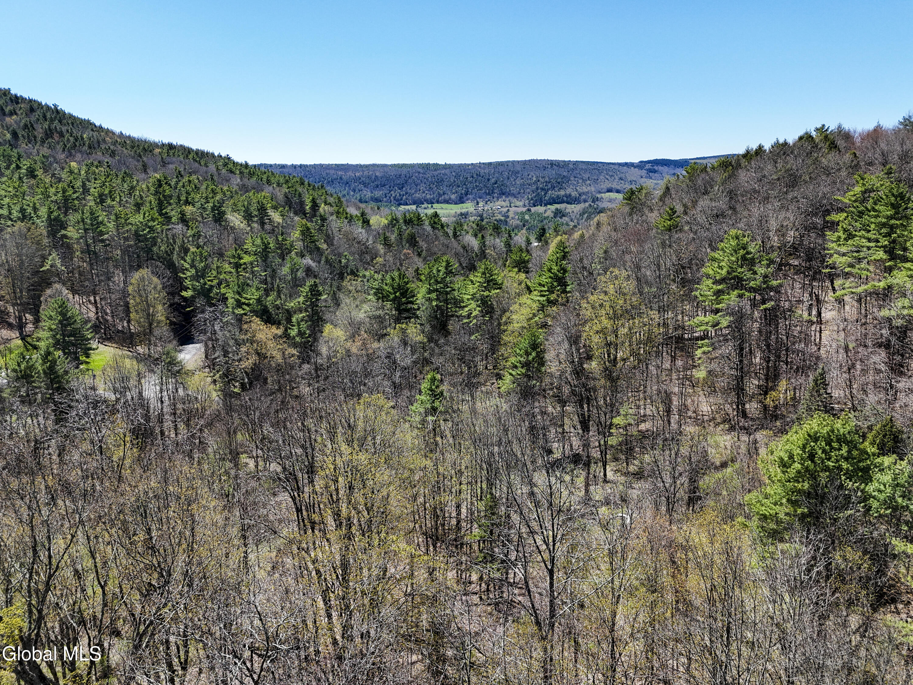 L19 Mary Taylor Road Middleburgh NY 12122