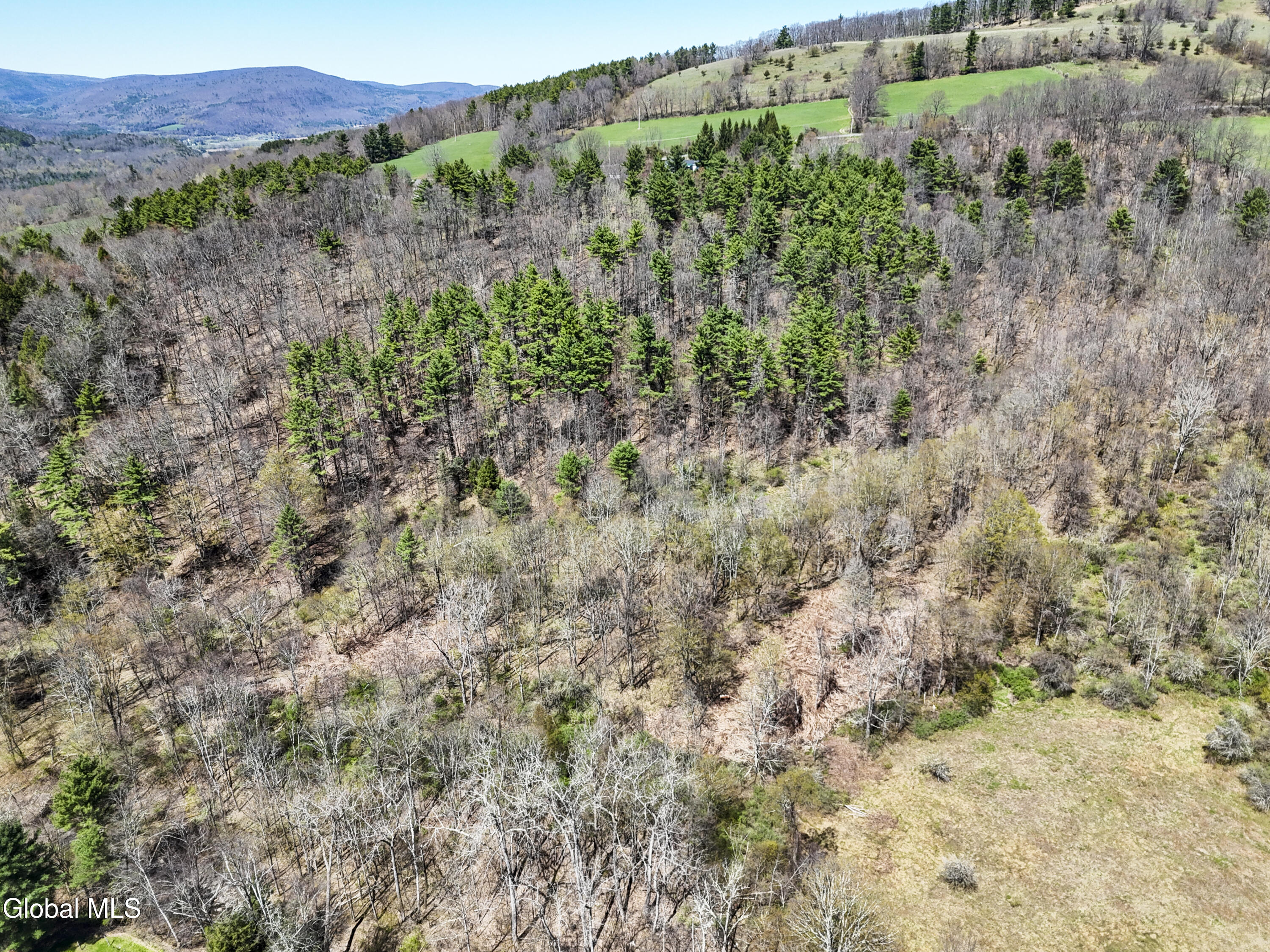 L19 Mary Taylor Road Middleburgh NY 12122