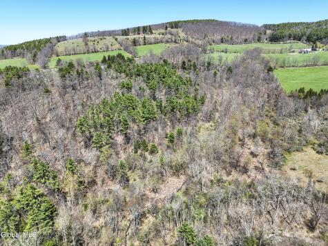 L19 Mary Taylor Road Middleburgh NY 12122