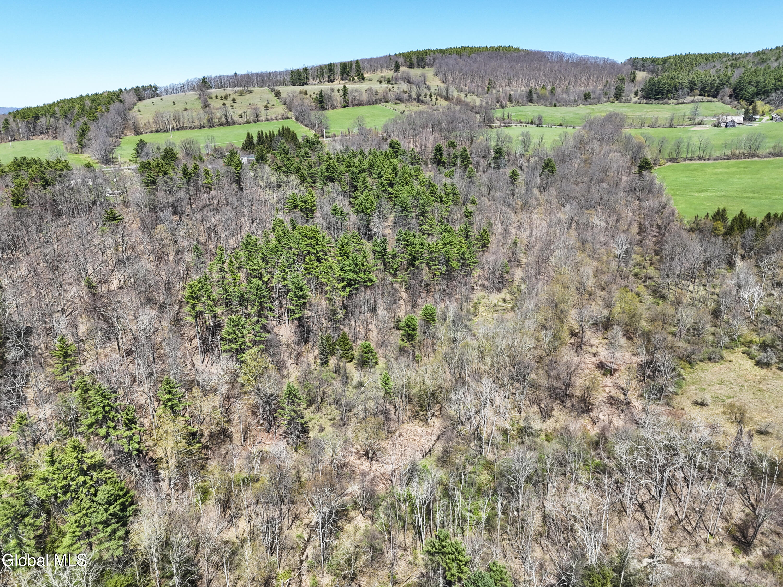 L19 Mary Taylor Road Middleburgh NY 12122