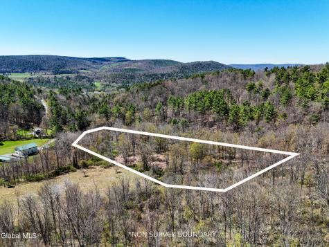 L19 Mary Taylor Road Middleburgh NY 12122
