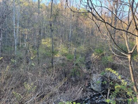 L19 Mary Taylor Road Middleburgh NY 12122