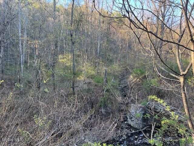 L19 Mary Taylor Road Middleburgh NY 12122
