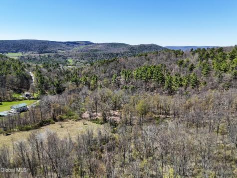 L19 Mary Taylor Road Middleburgh NY 12122