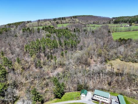 L19 Mary Taylor Road Middleburgh NY 12122