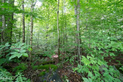 Lot 54 Hemlock Drive Gloversville NY 12078