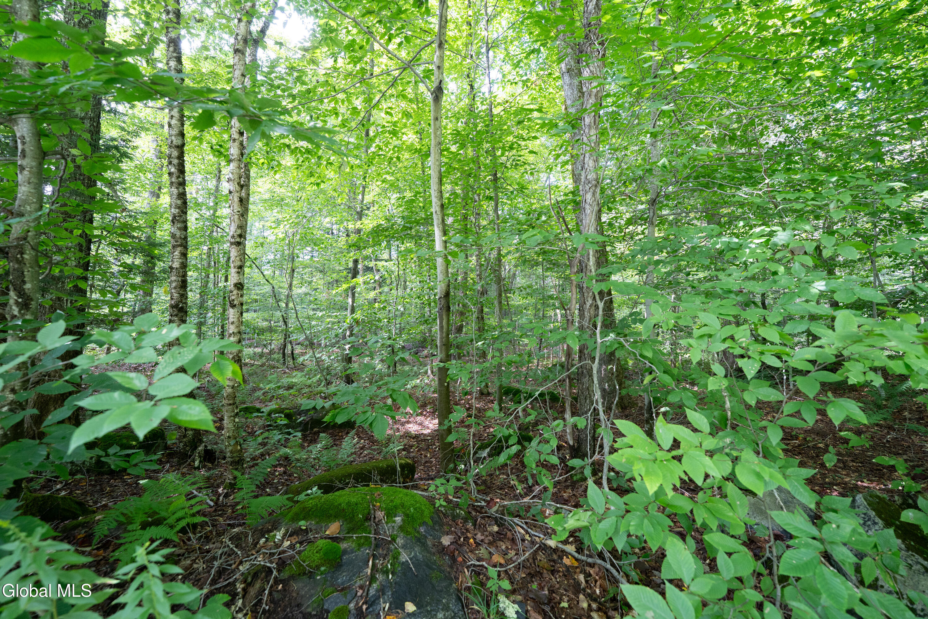 Lot 54 Hemlock Drive Gloversville NY 12078
