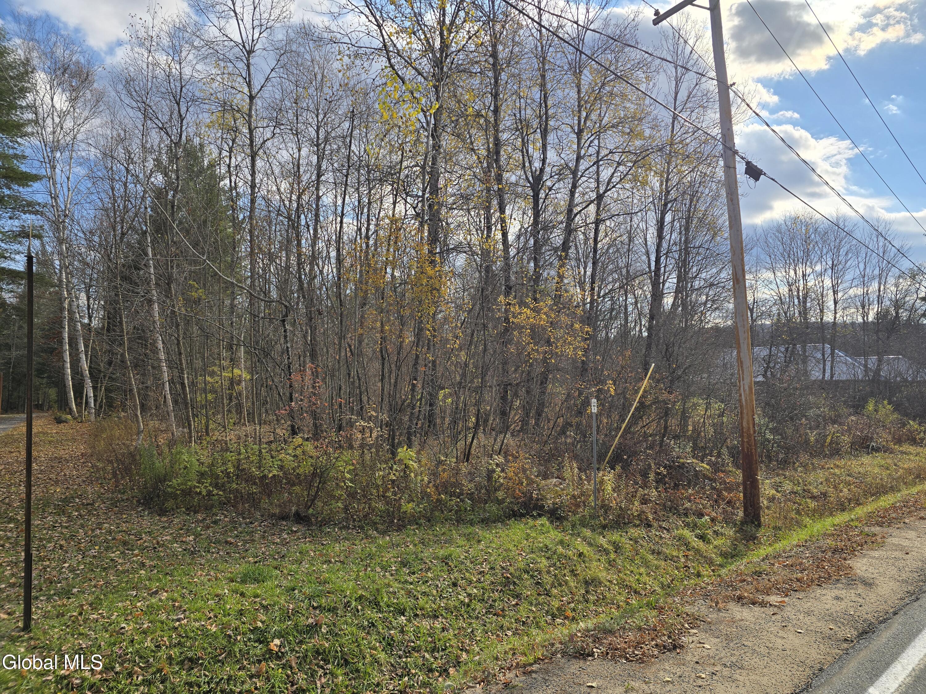 394 S Shore Road Lake Pleasant NY 12108