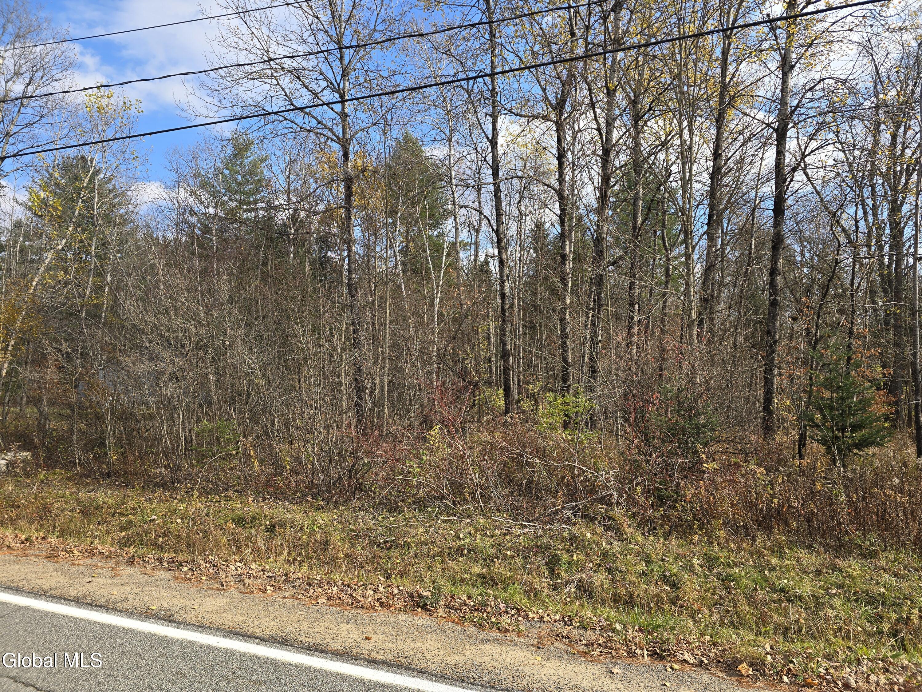 394 S Shore Road Lake Pleasant NY 12108