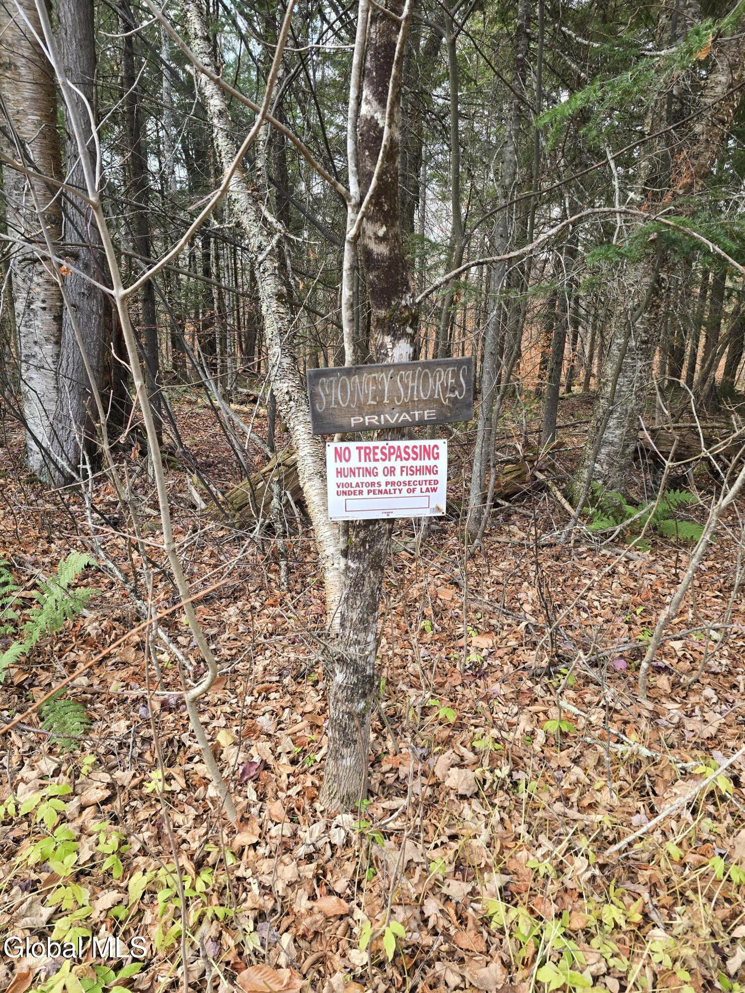 394 S Shore Road Lake Pleasant NY 12108