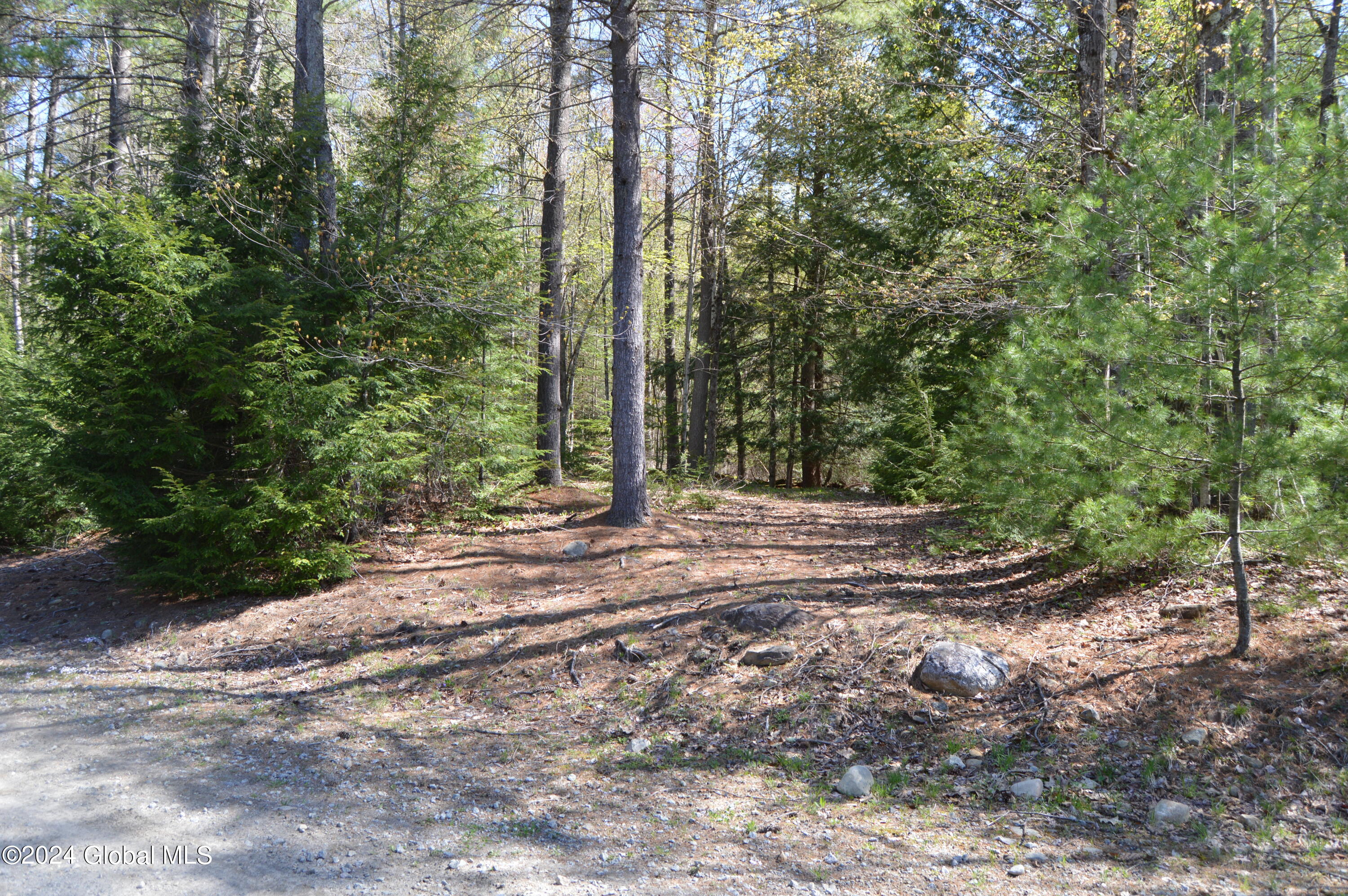 00 Adirondack Heights Rd Lot 8 Chester NY 12817