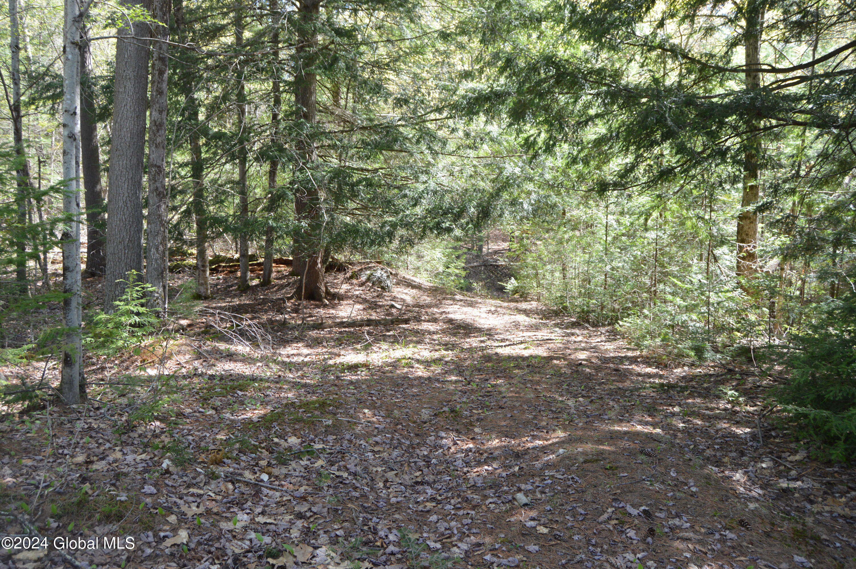 00 Adirondack Heights Rd Lot 8 Chester NY 12817