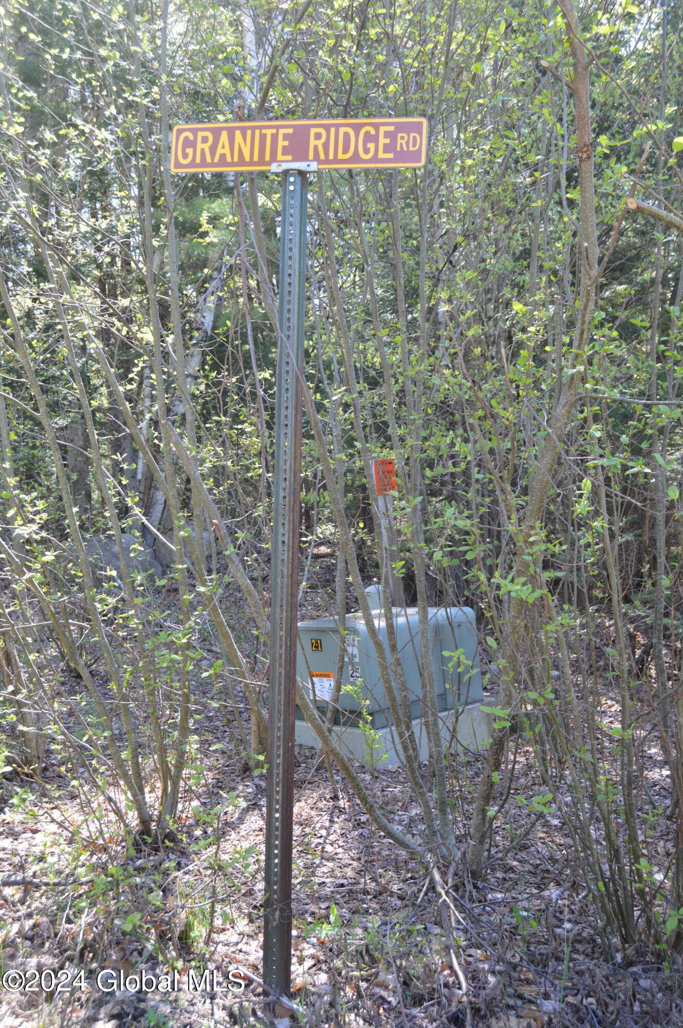 00 Adirondack Heights Rd Lot 8 Chester NY 12817