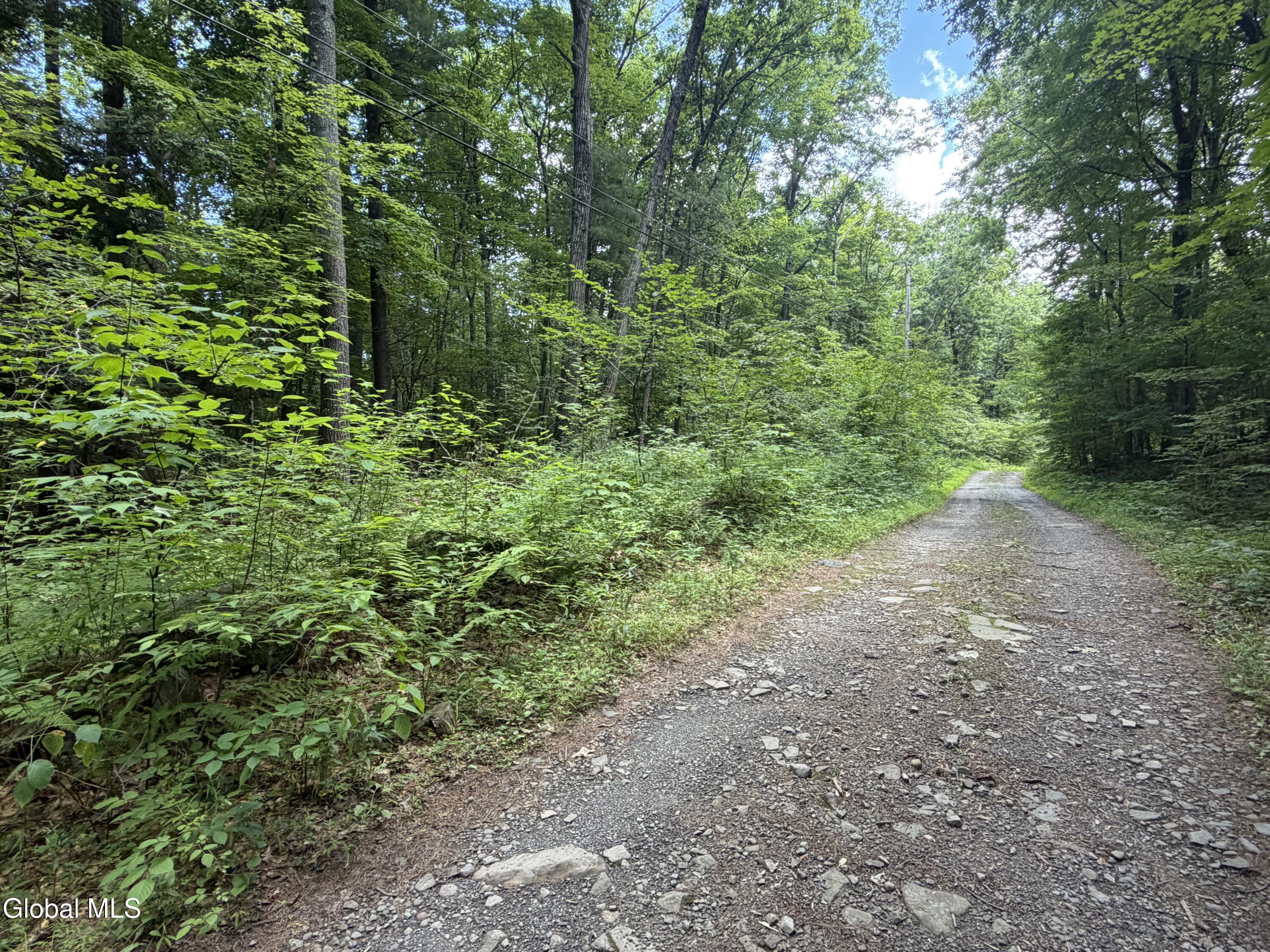0 Laurie Lane Cairo NY 12413