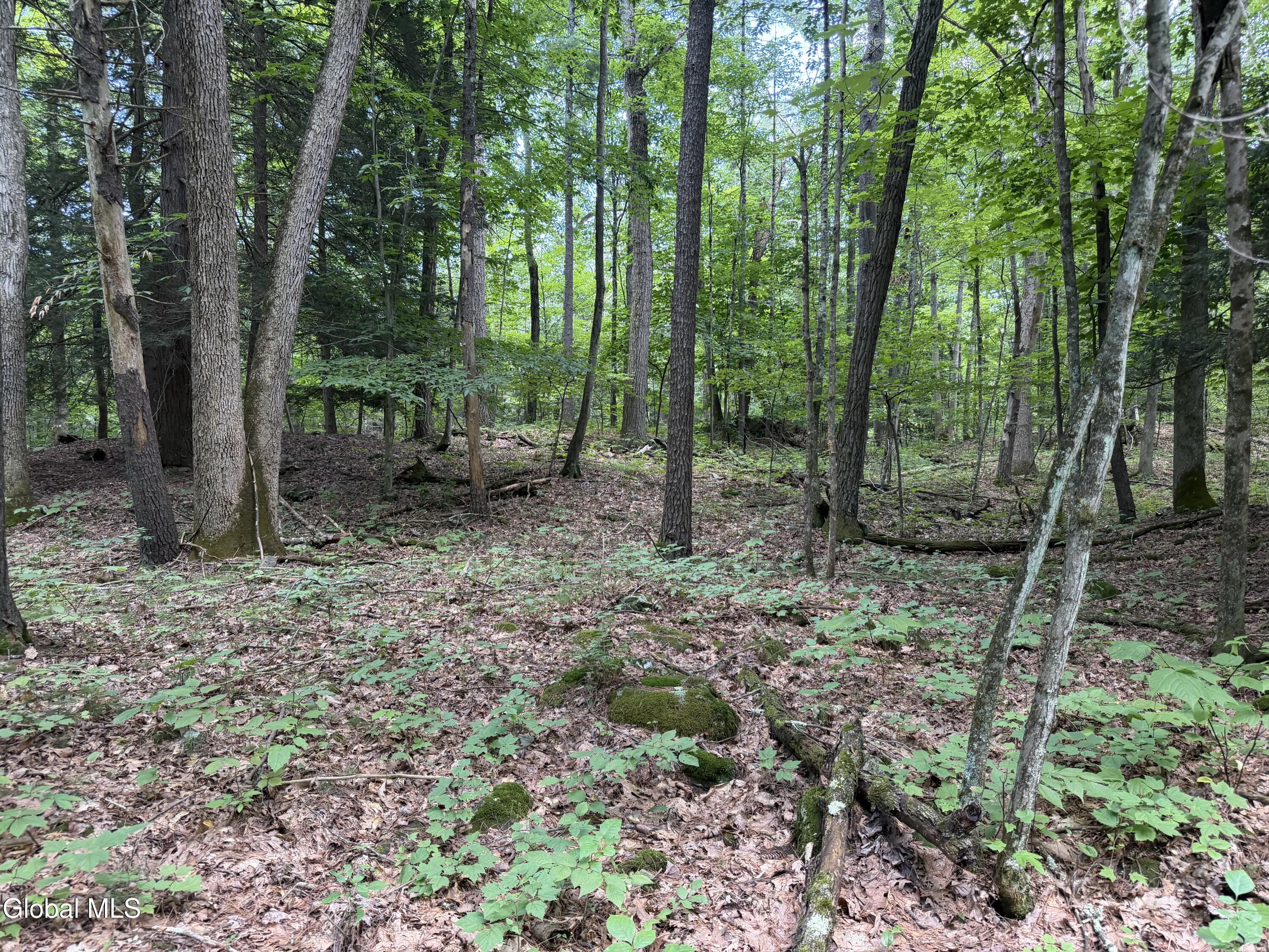 0 Laurie Lane Cairo NY 12413