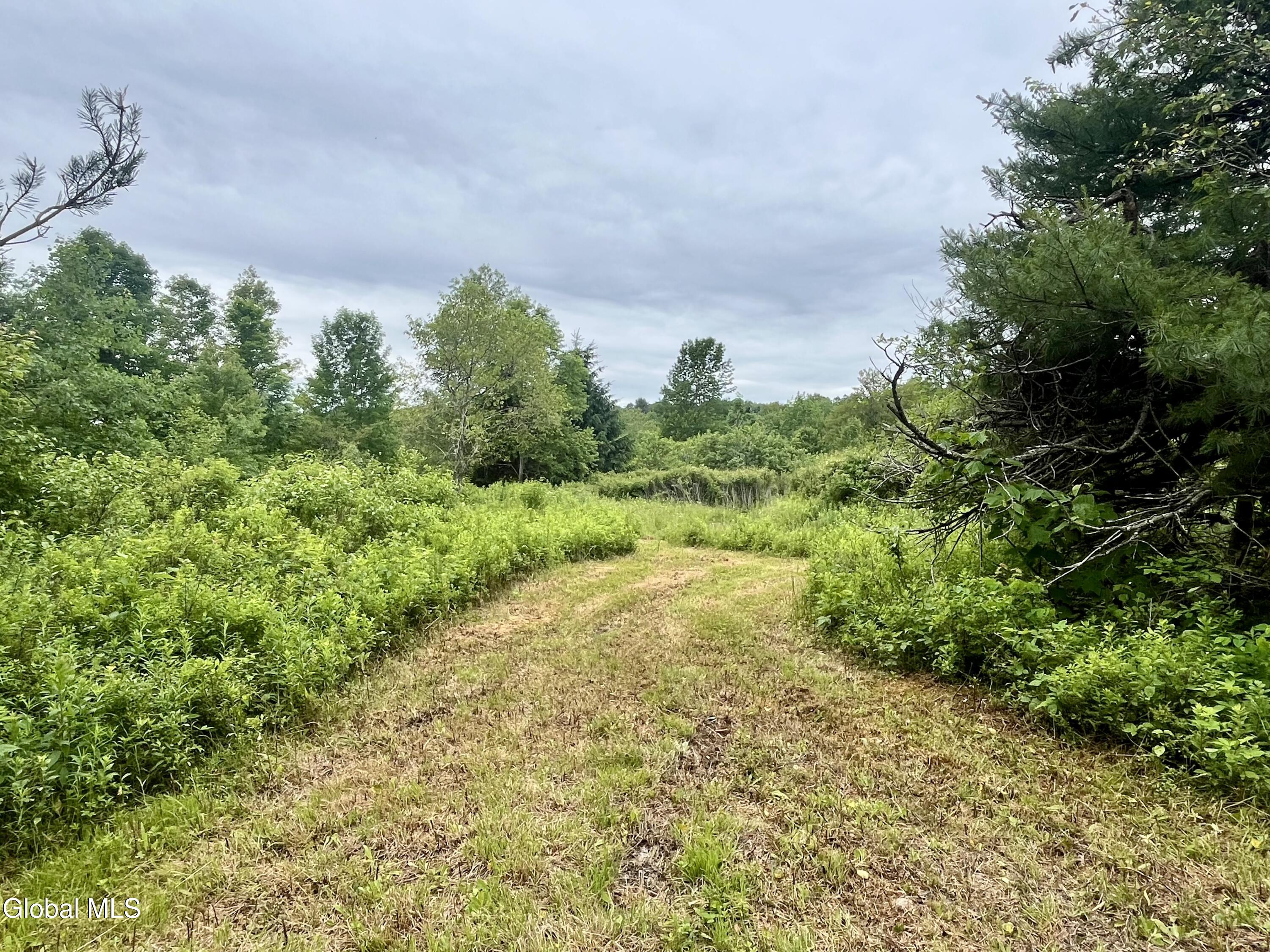 2285 State Route 10 Jefferson NY 12093