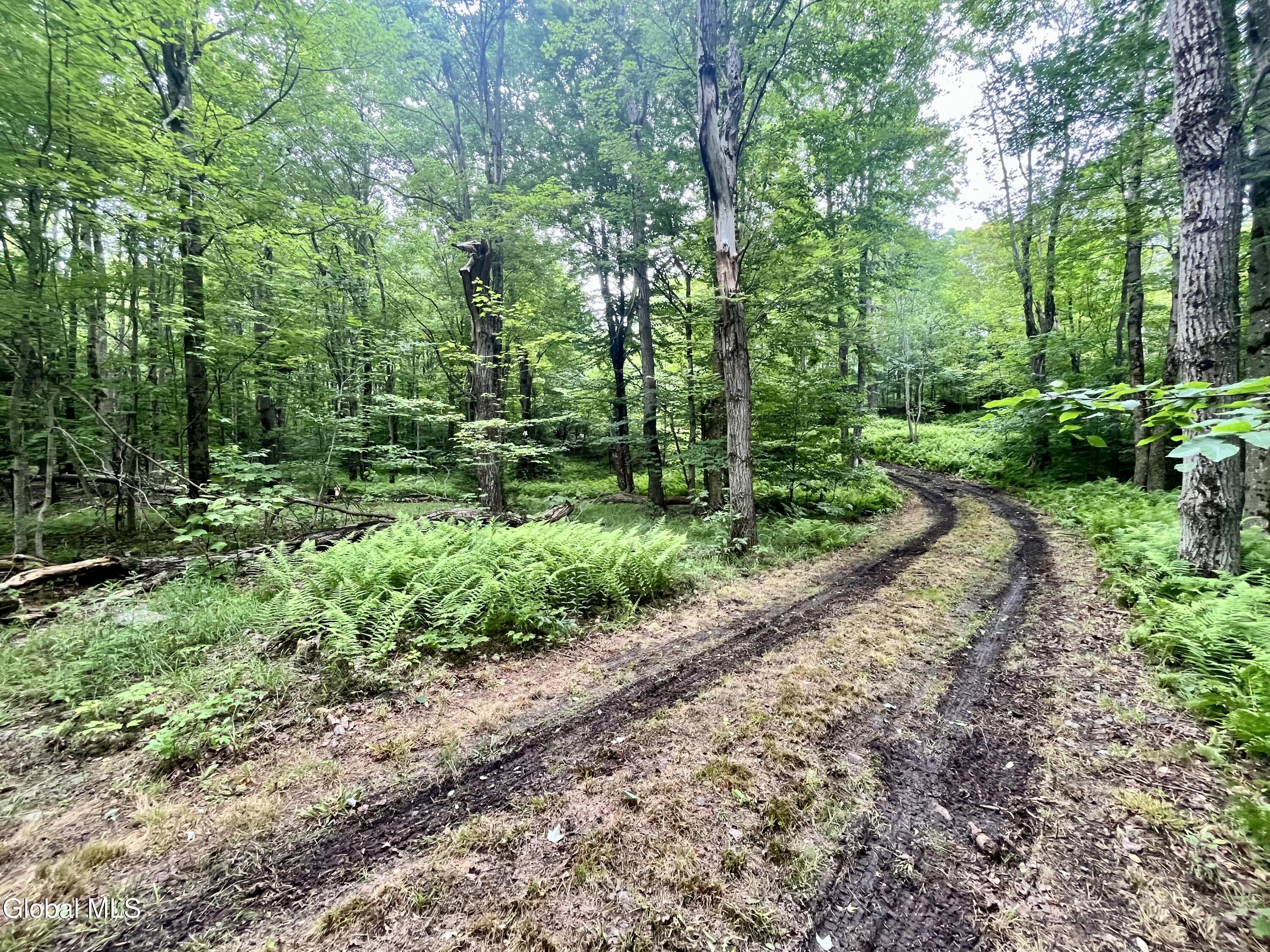 2285 State Route 10 Jefferson NY 12093