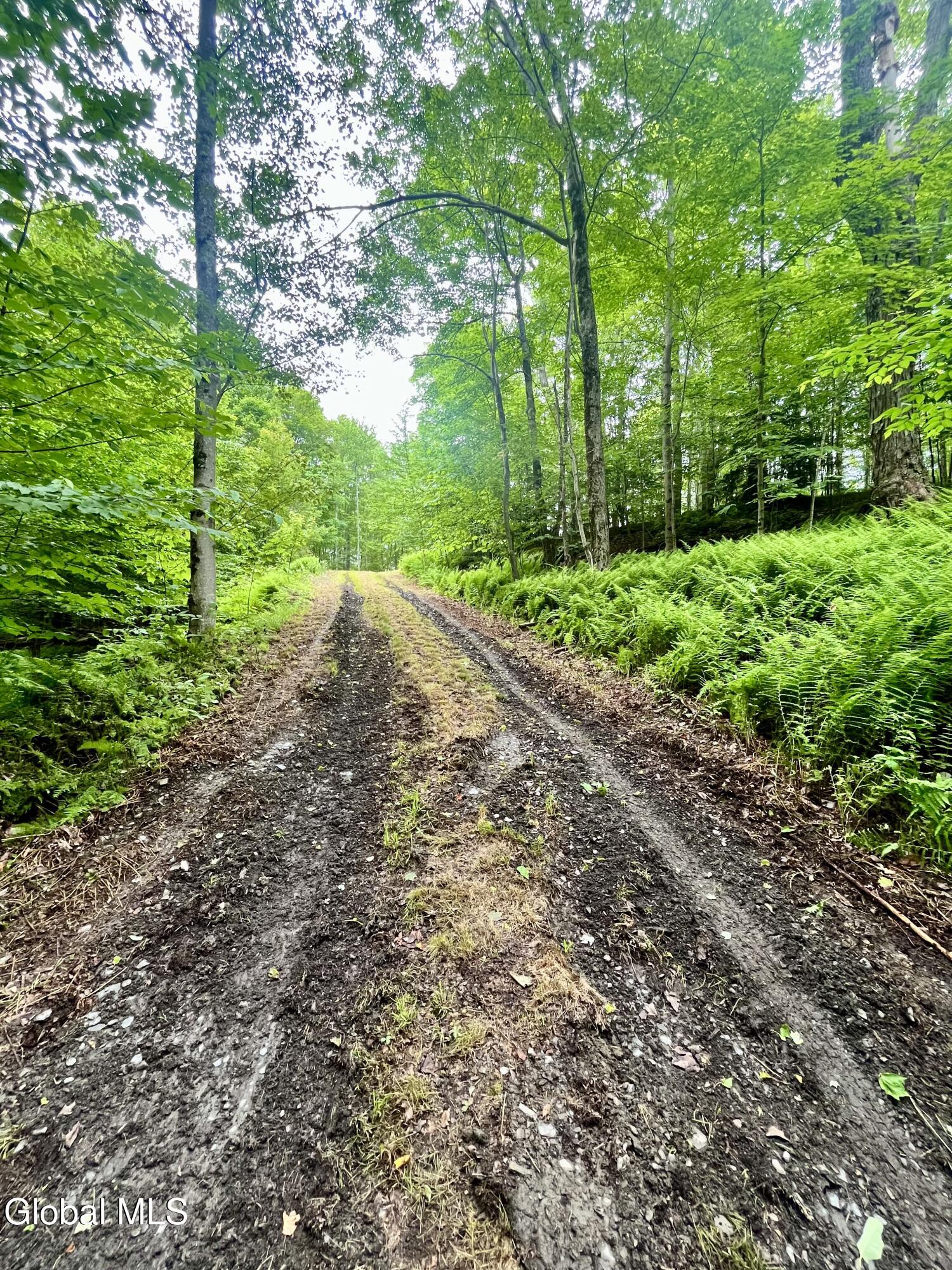 2285 State Route 10 Jefferson NY 12093