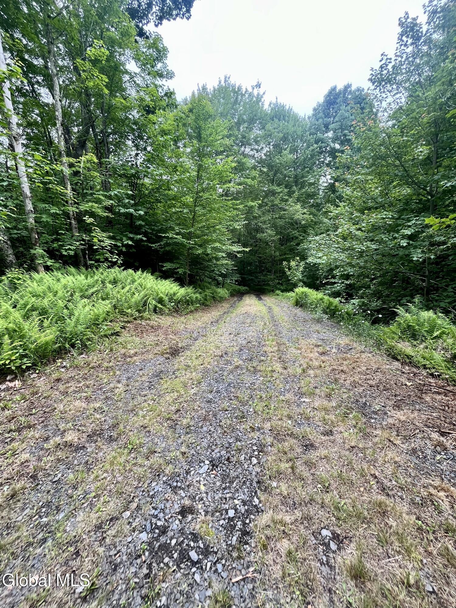 2285 State Route 10 Jefferson NY 12093
