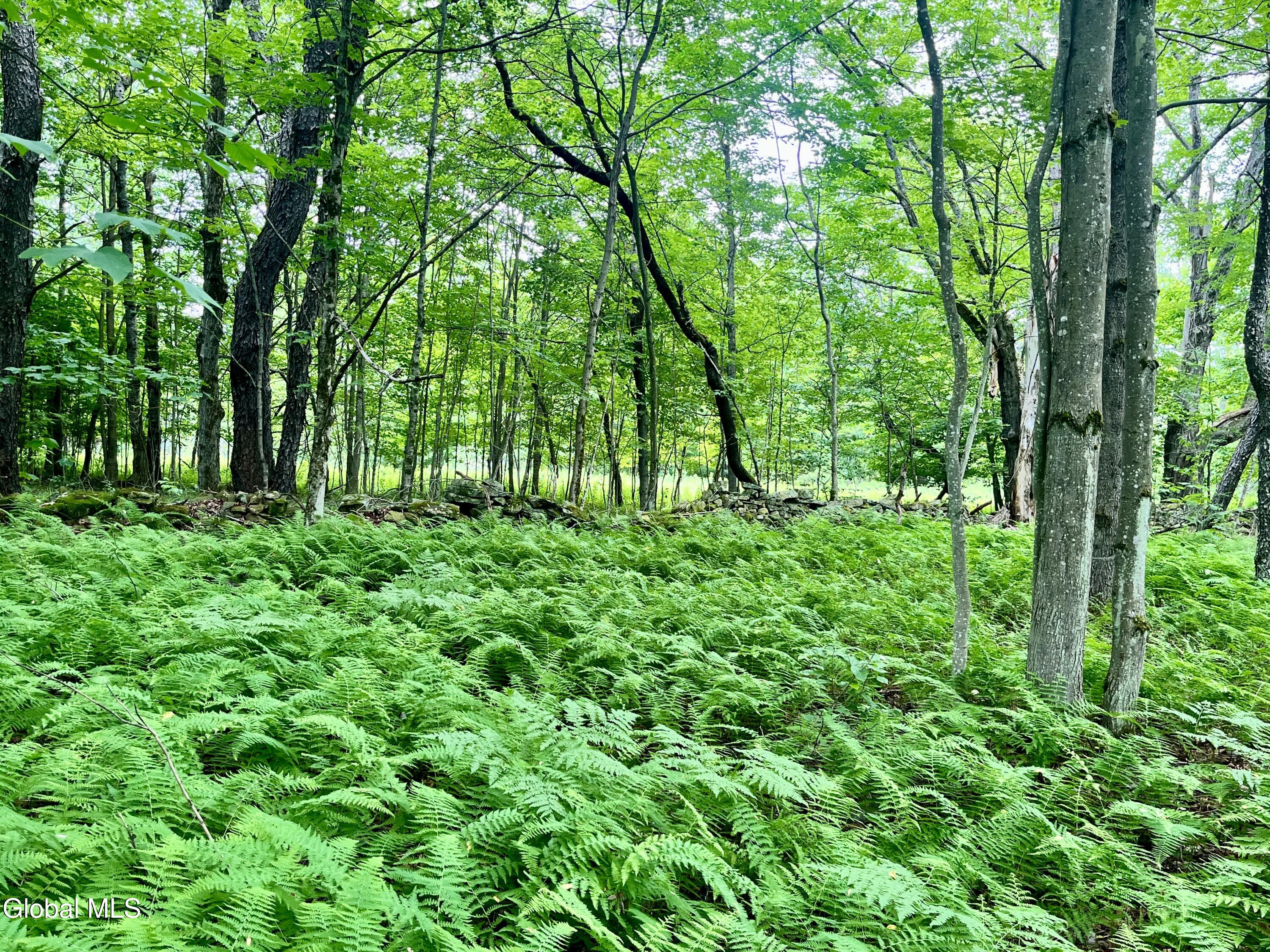 2285 State Route 10 Jefferson NY 12093