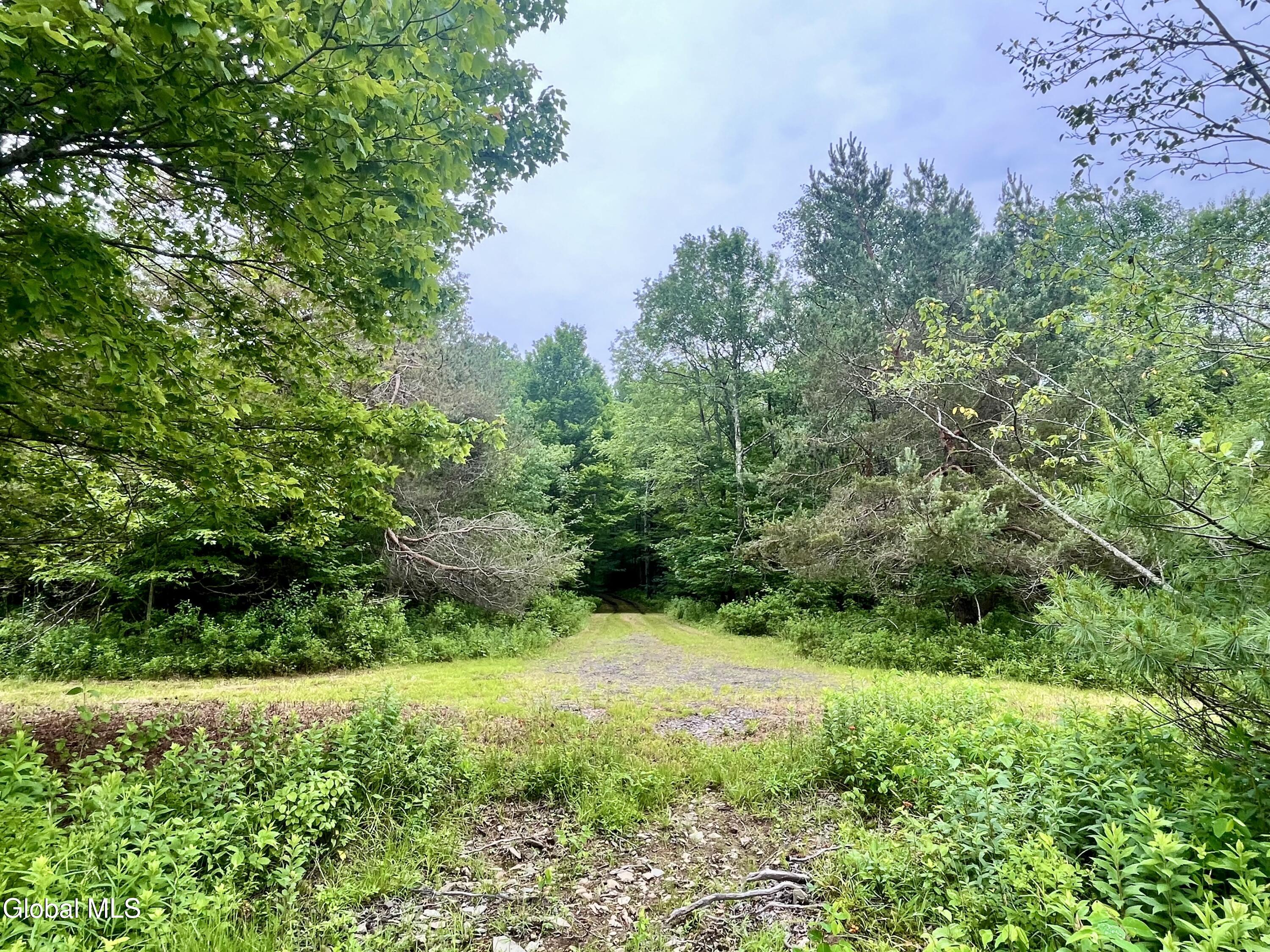 2285 State Route 10 Jefferson NY 12093