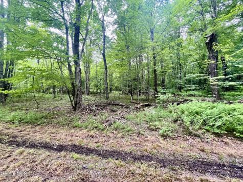 2285 State Route 10 Jefferson NY 12093