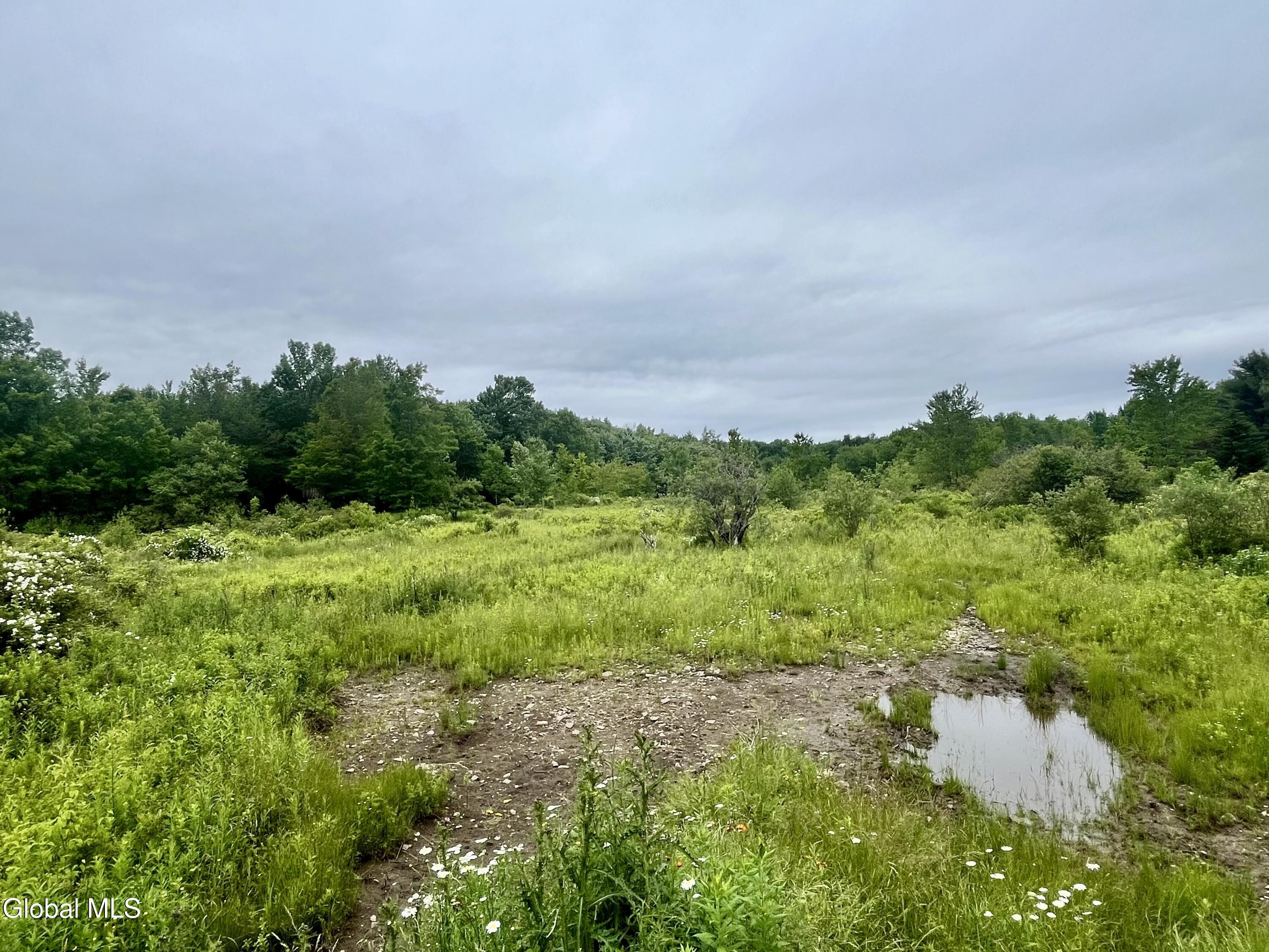 2285 State Route 10 Jefferson NY 12093