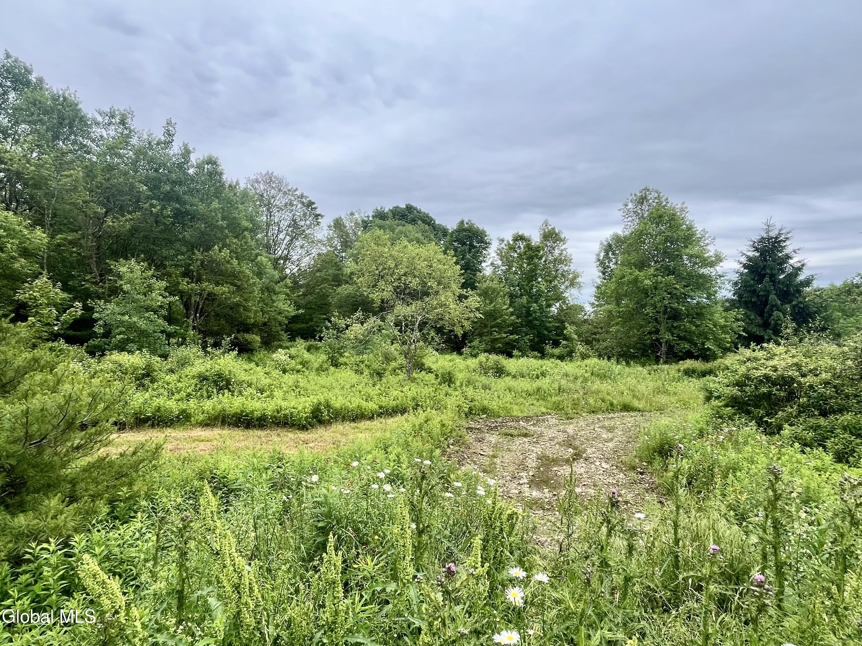 2285 State Route 10 Jefferson NY 12093