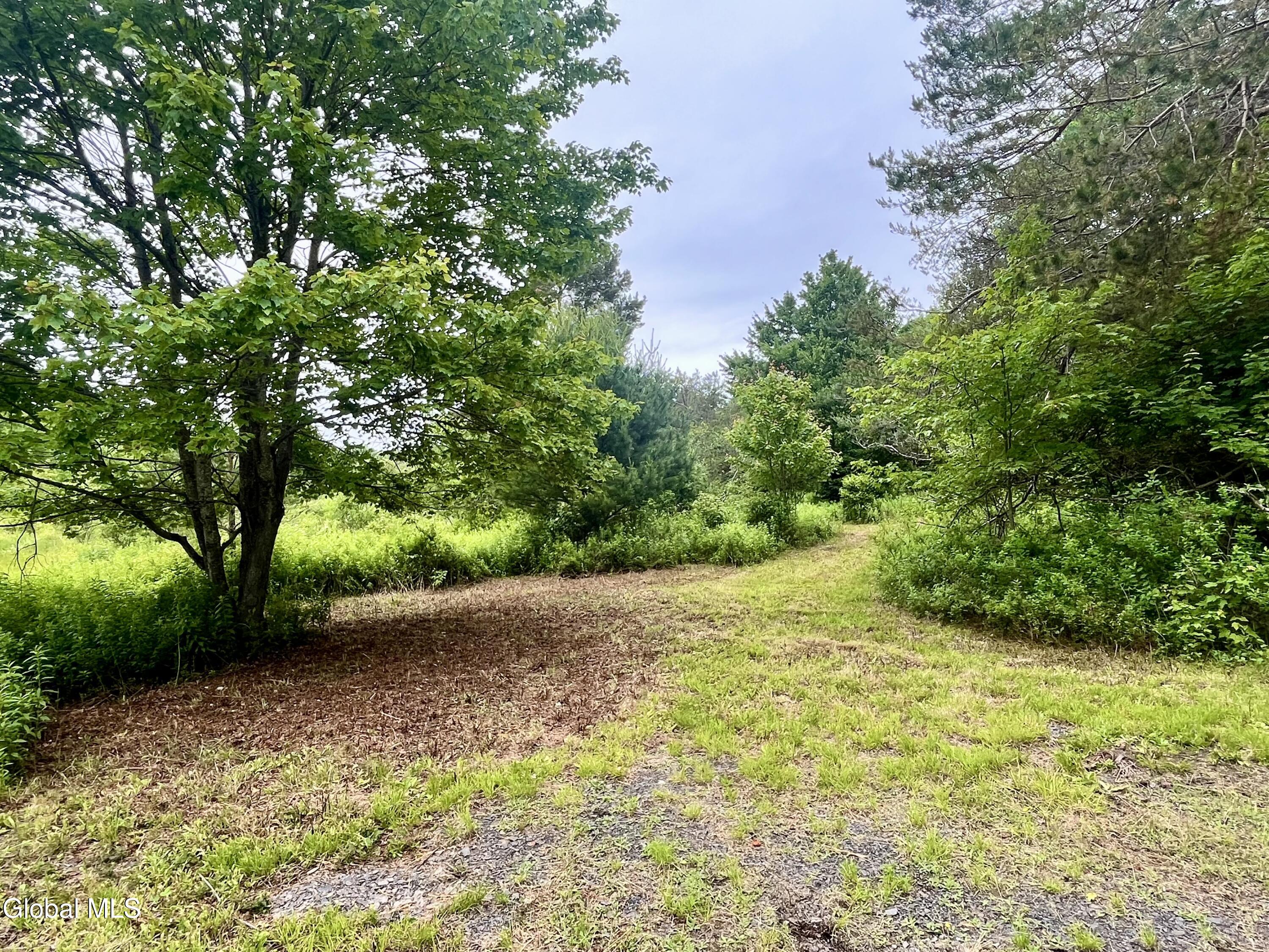 2285 State Route 10 Jefferson NY 12093