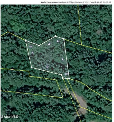 L5.137 State Route 30 Off Blenheim NY 12131