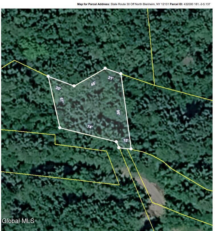 L5.137 State Route 30 Off Blenheim NY 12131