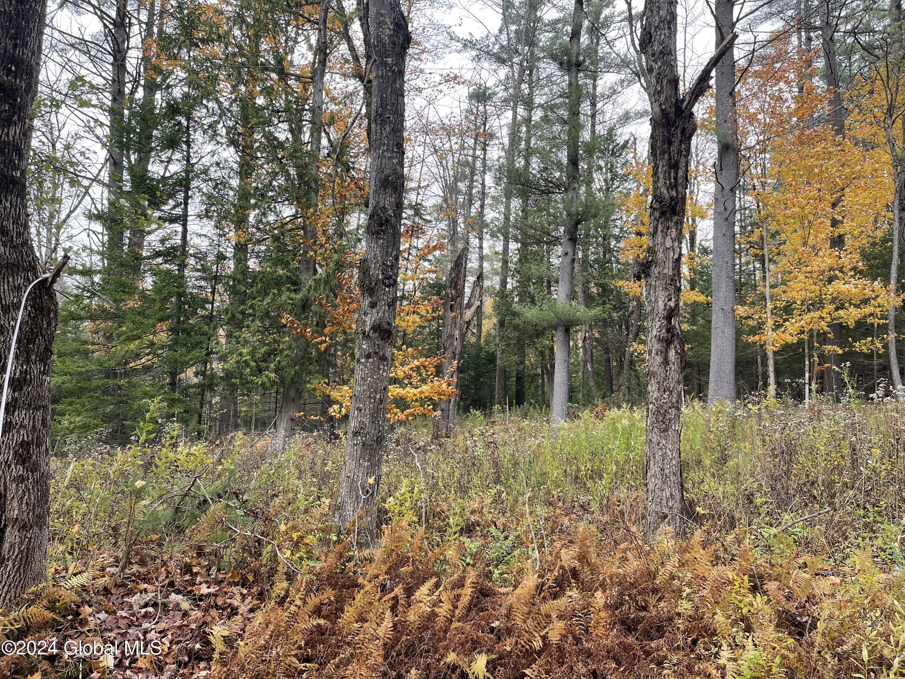 L47.2 Mallon Road Minerva NY 12857