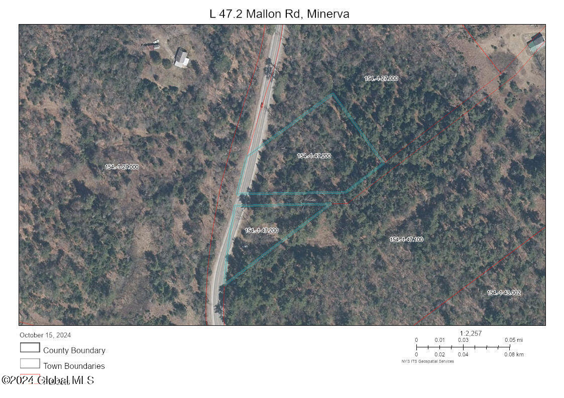 L47.2 Mallon Road Minerva NY 12857