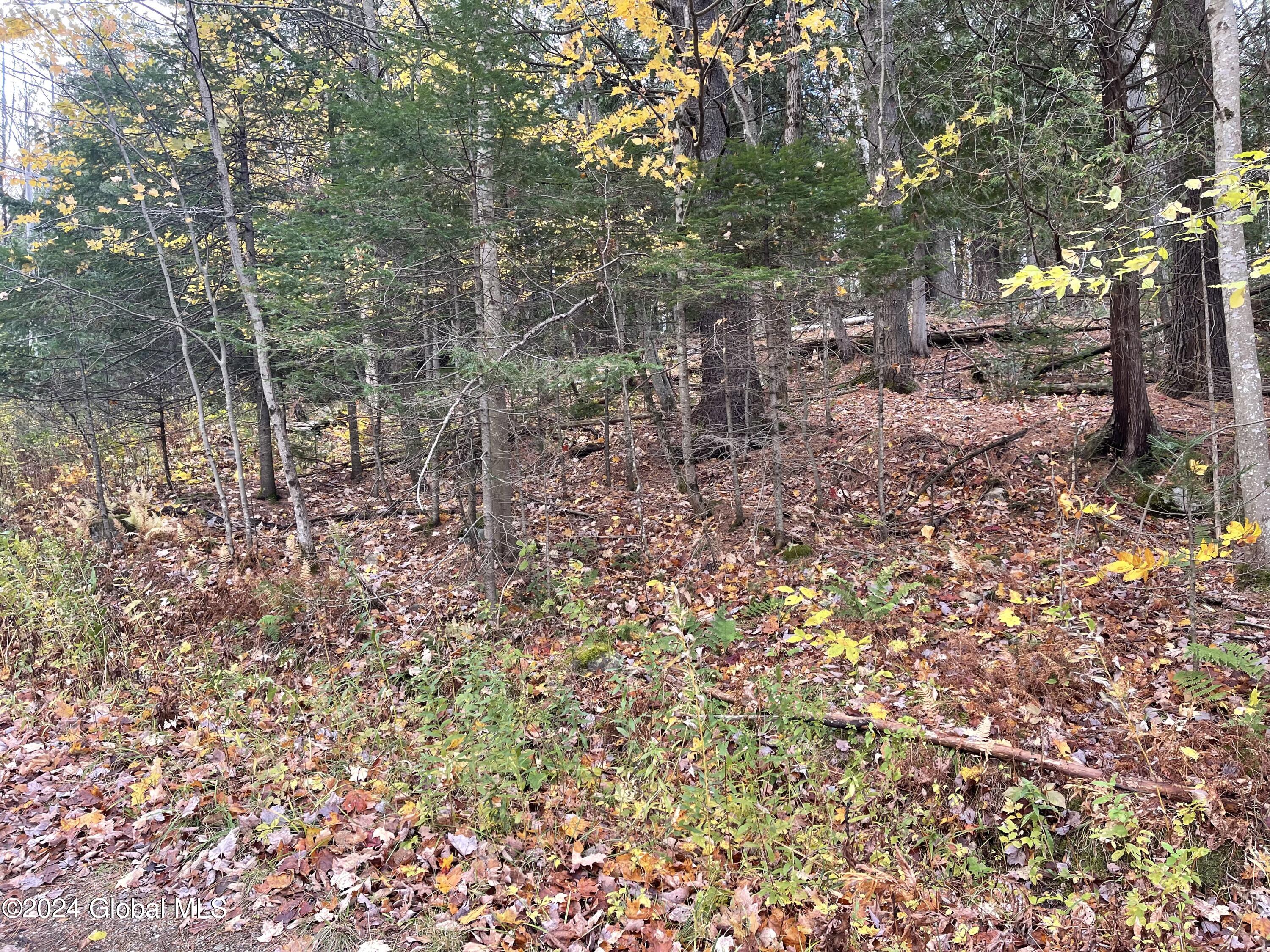L47.2 Mallon Road Minerva NY 12857