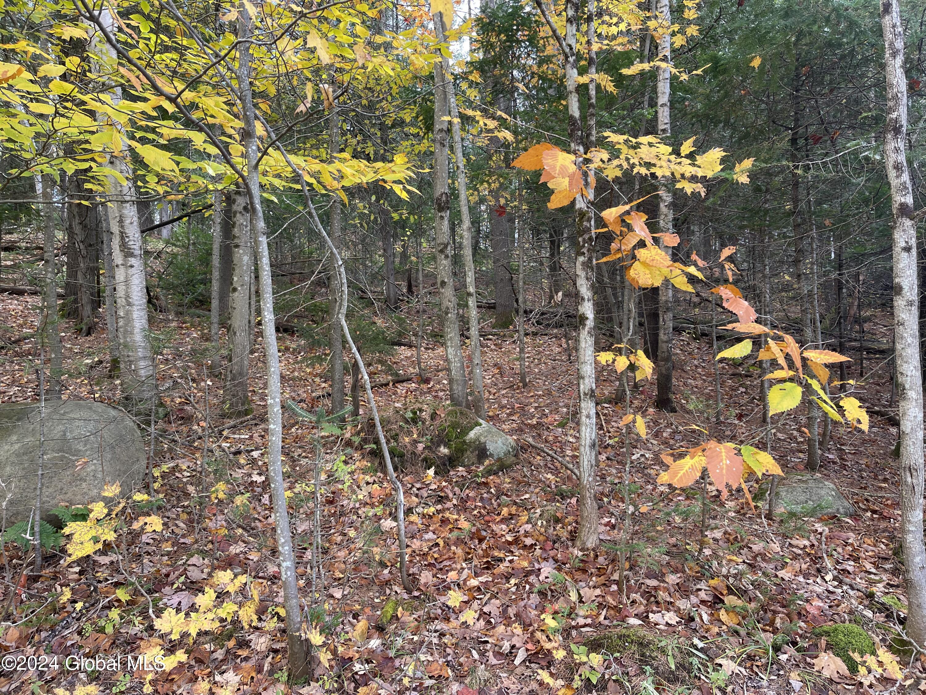 L47.2 Mallon Road Minerva NY 12857